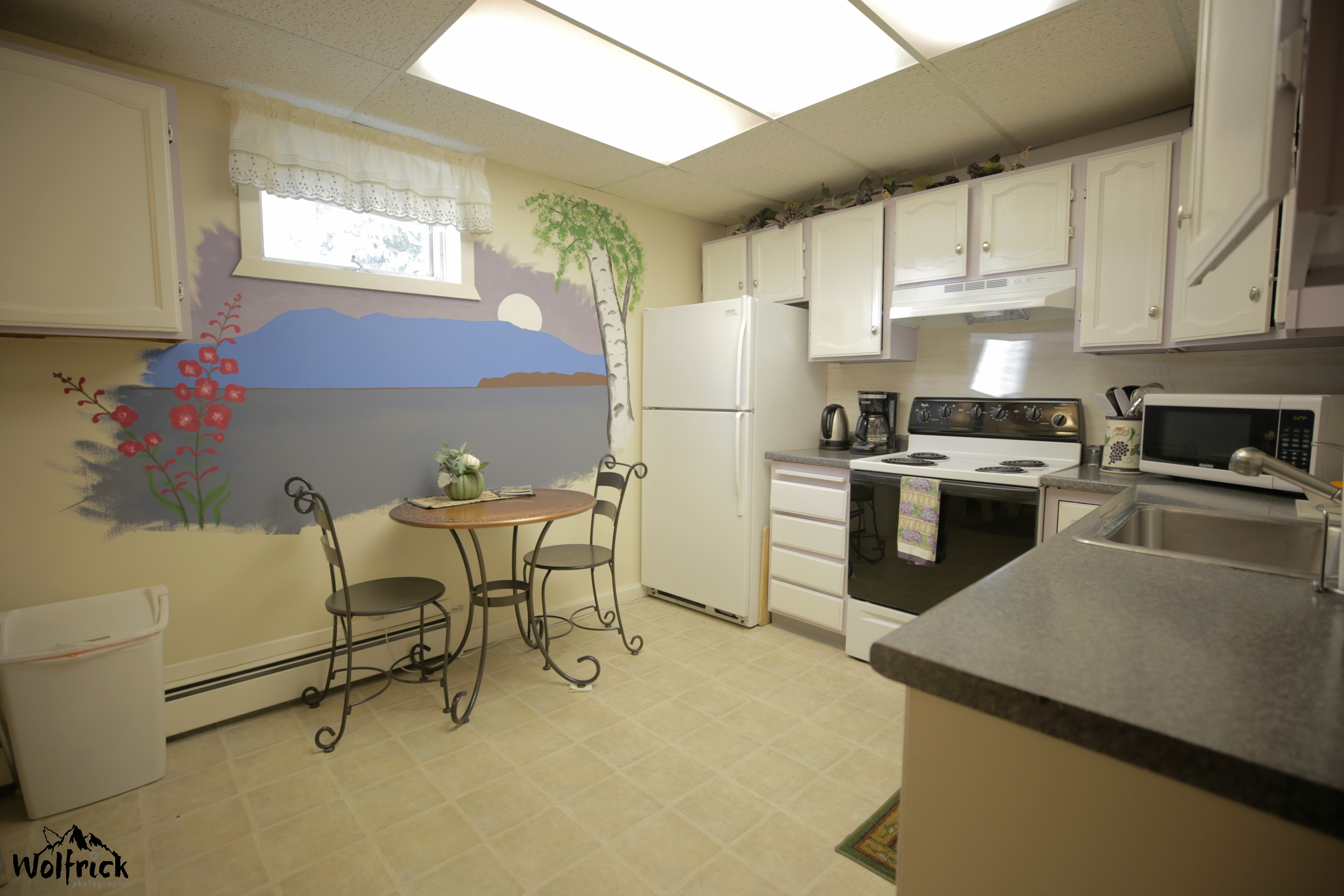 Downstairs Kitchen For Guest Use